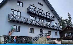 Hotel Novoe Shale